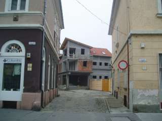 Baja, Grauaug u.jpg Baja, Grauaug u.jpg